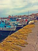 12705600_10153484653290945_2138470066222843315_n