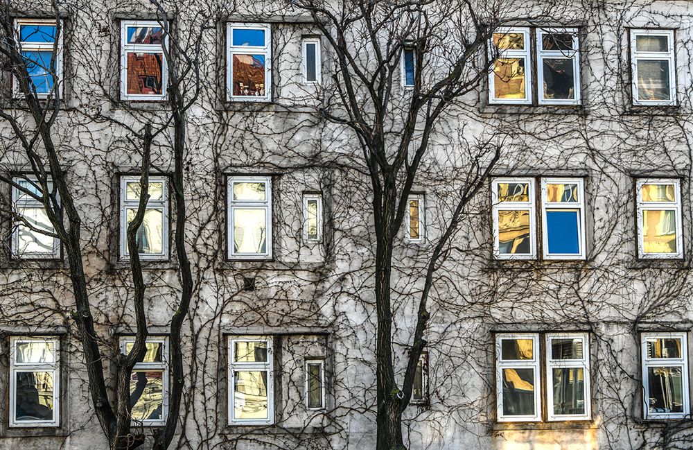 7ffeaed9-8bfa-4784-b2b5-bb9488bfe3f8